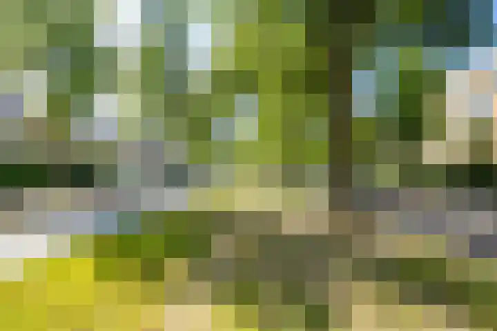 Joseph Haydnlaan 34 3 Utrecht thumbnail 33