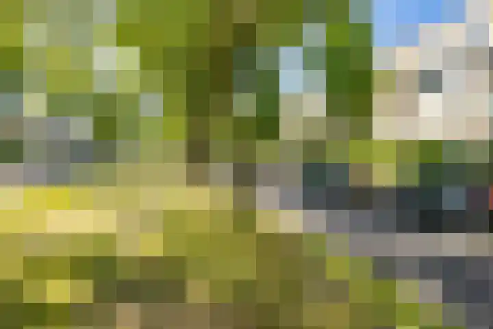 Joseph Haydnlaan 34 3 Utrecht thumbnail 34