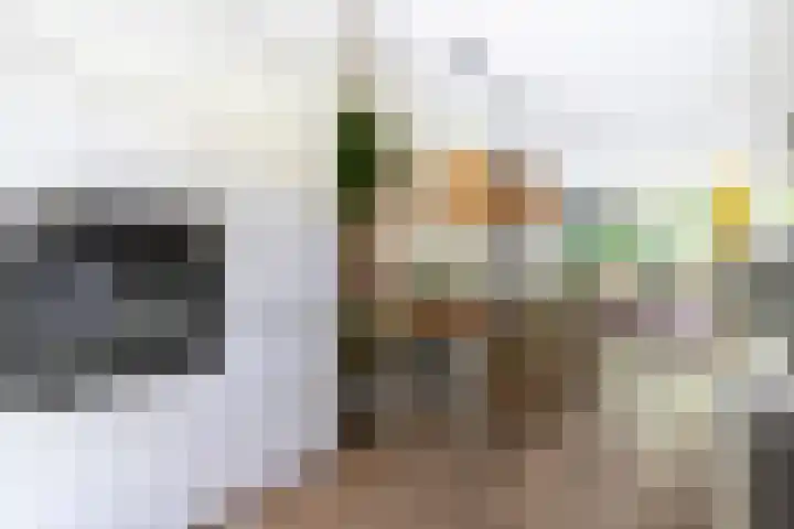 Joseph Haydnlaan 36 Utrecht thumbnail 11