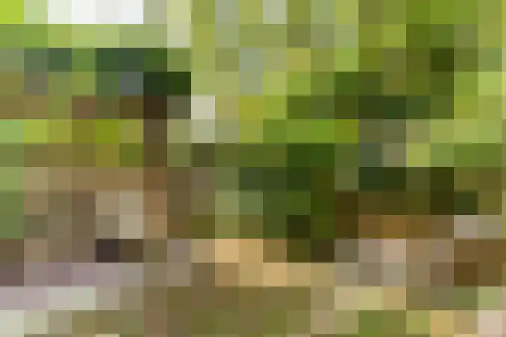 Joseph Haydnlaan 36 Utrecht thumbnail 14