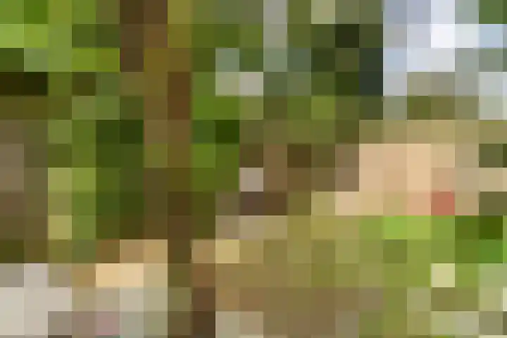 Joseph Haydnlaan 36 Utrecht thumbnail 15
