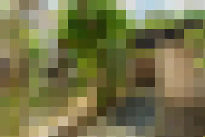 Joseph Haydnlaan 36 Utrecht thumbnail 16