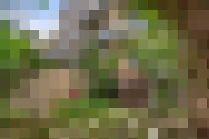 Joseph Haydnlaan 36 Utrecht thumbnail 18