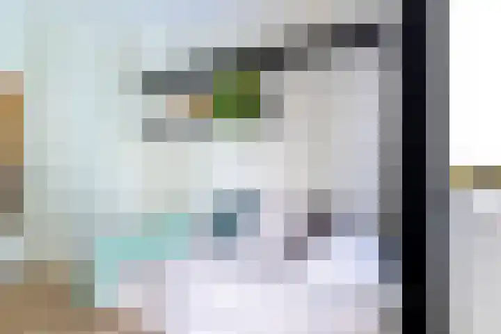 Joseph Haydnlaan 36 Utrecht thumbnail 27