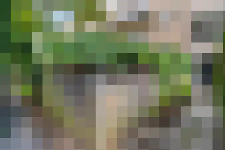 Joseph Haydnlaan 36 Utrecht thumbnail 34