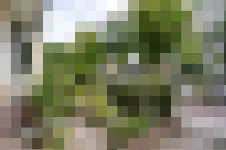 Joseph Haydnlaan 36 Utrecht thumbnail 37