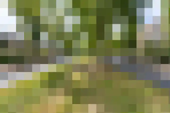 Joseph Haydnlaan 36 Utrecht thumbnail 42