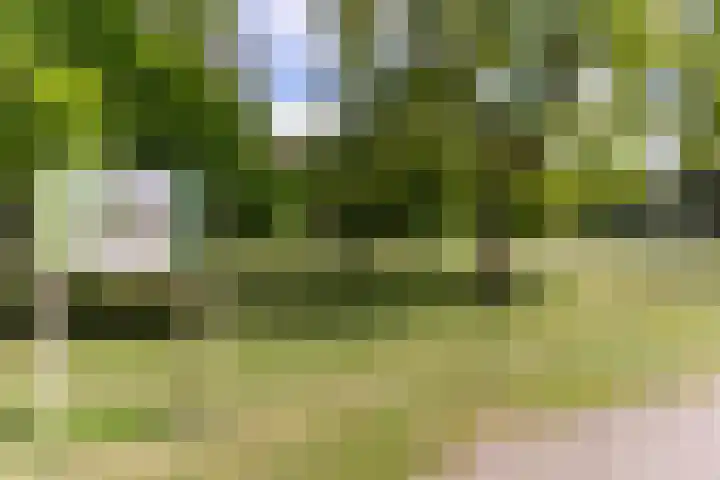 Joseph Haydnlaan 36 Utrecht thumbnail 46
