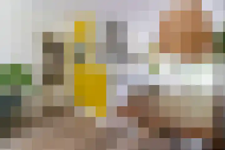 Joseph Haydnlaan 36 Utrecht thumbnail 9