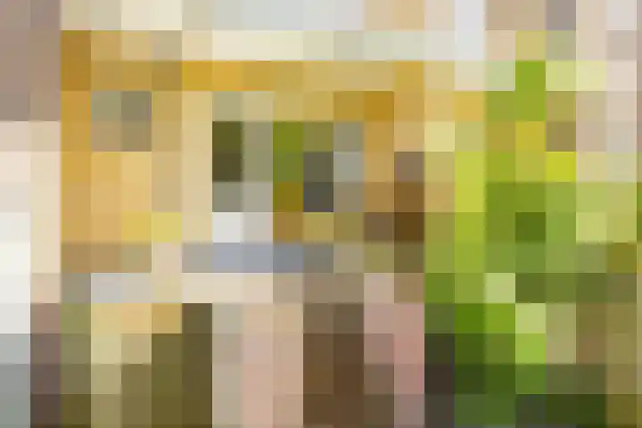 Joseph Haydnlaan 38 Utrecht thumbnail 16