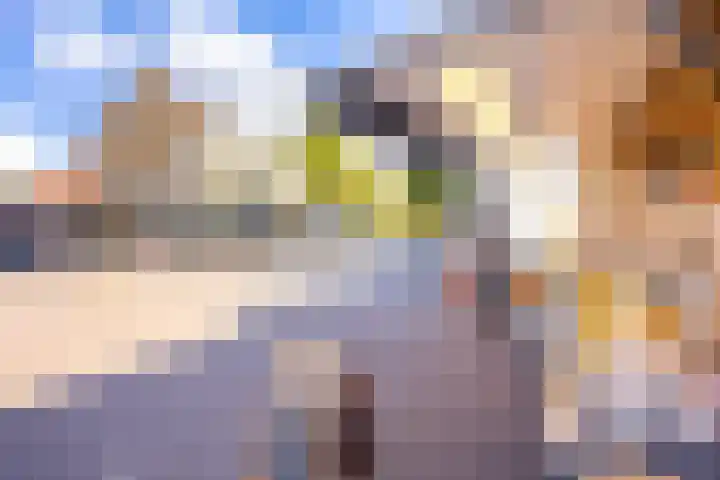 Joseph Haydnlaan 38 Utrecht thumbnail 31