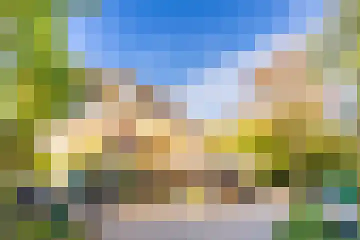 Joseph Haydnlaan 38 Utrecht thumbnail 33
