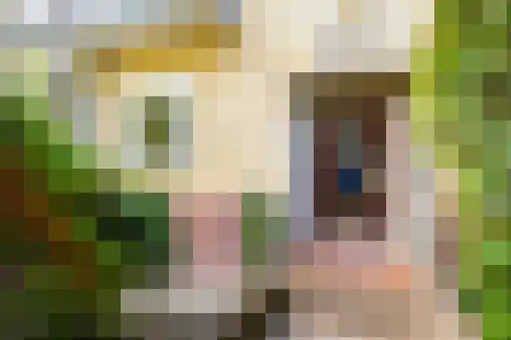 Joseph Haydnlaan 38 Utrecht thumbnail 5