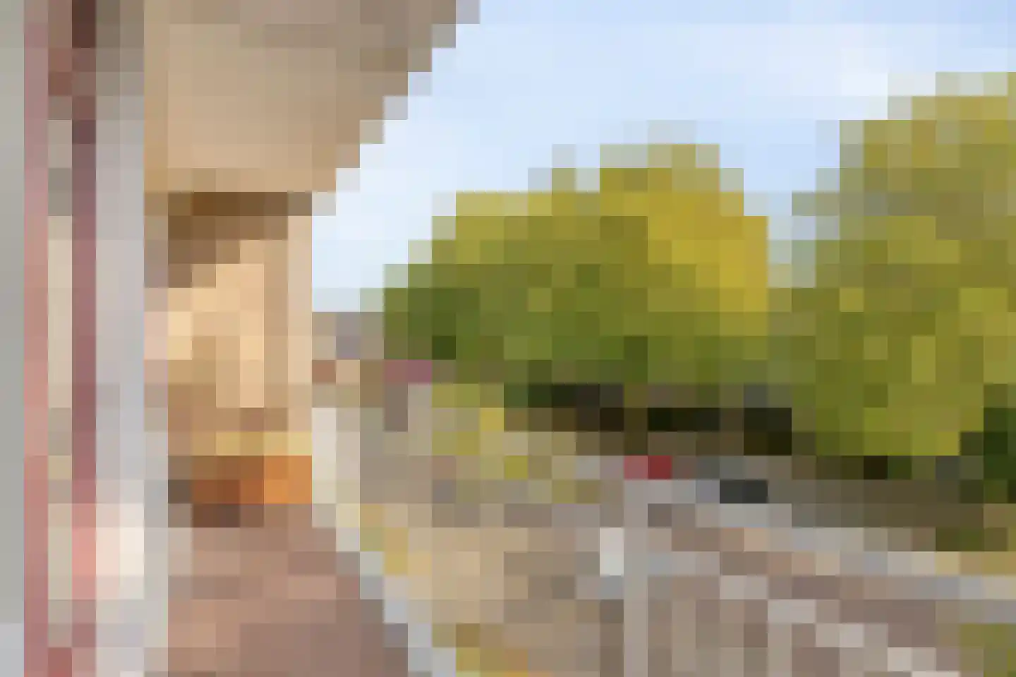 Joseph Haydnlaan 39 Leiden thumbnail 6