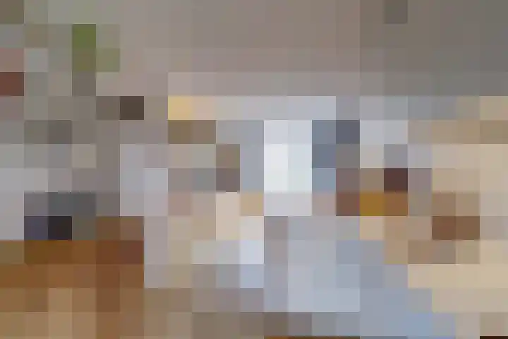 Joseph Haydnlaan 42 Utrecht thumbnail 17