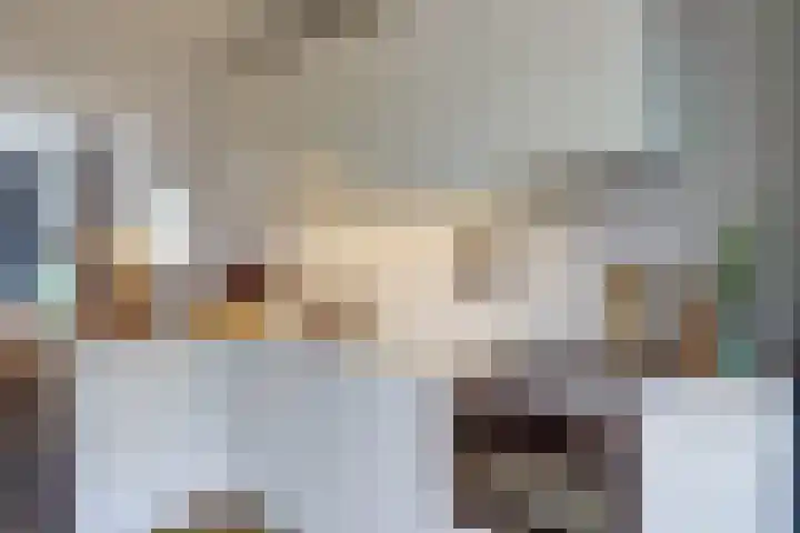 Joseph Haydnlaan 42 Utrecht thumbnail 18