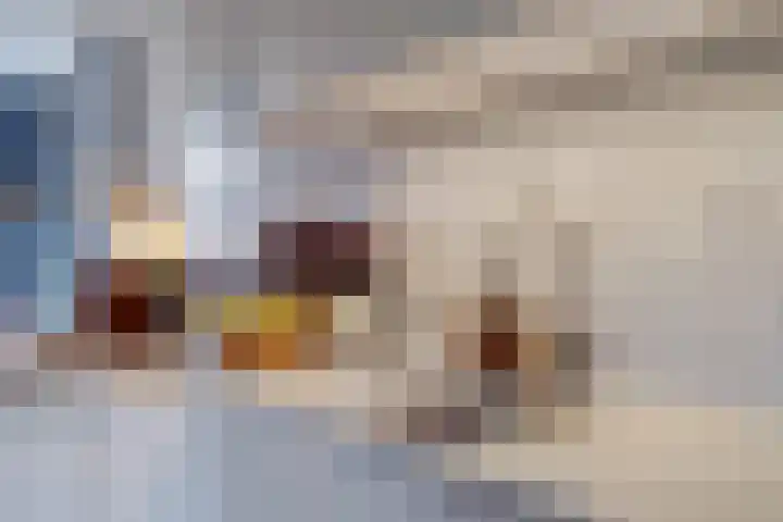 Joseph Haydnlaan 42 Utrecht thumbnail 19