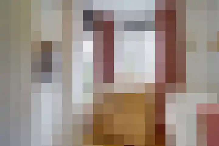 Joseph Haydnlaan 42 Utrecht thumbnail 28
