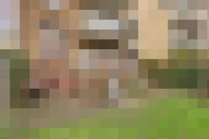 Joseph Haydnlaan 42 Utrecht thumbnail 38