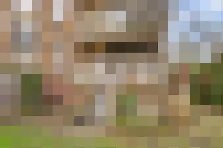 Joseph Haydnlaan 42 Utrecht thumbnail 39