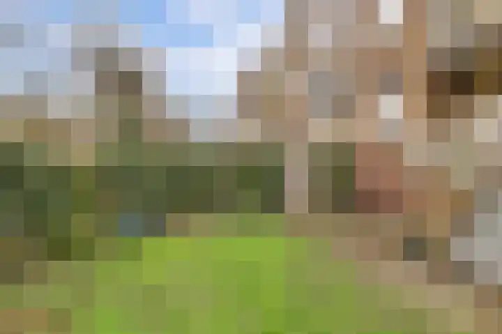 Joseph Haydnlaan 42 Utrecht thumbnail 40
