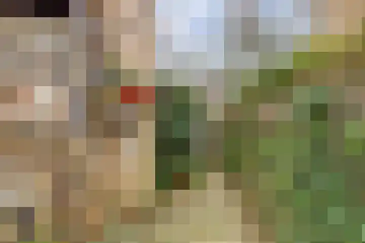 Joseph Haydnlaan 42 Utrecht thumbnail 41