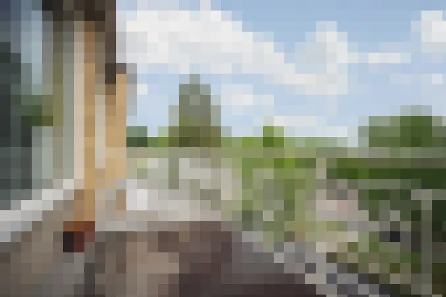 Joseph Haydnlaan 48 3 Utrecht thumbnail 12