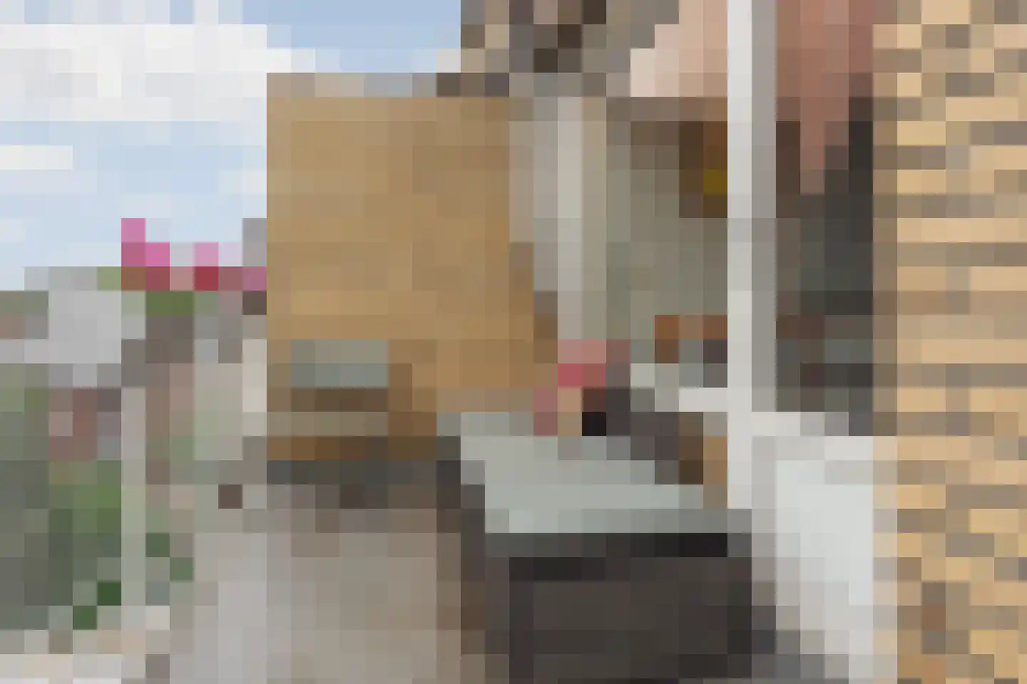 Joseph Haydnlaan 48 3 Utrecht thumbnail 14