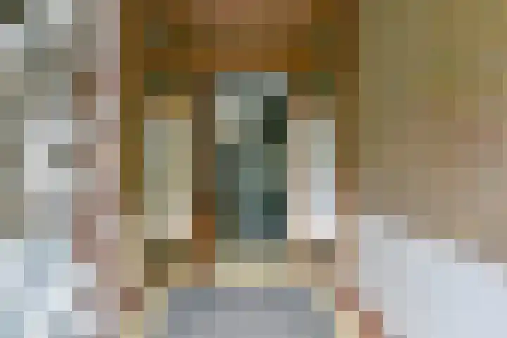 Joseph Haydnlaan 48 Utrecht thumbnail 31