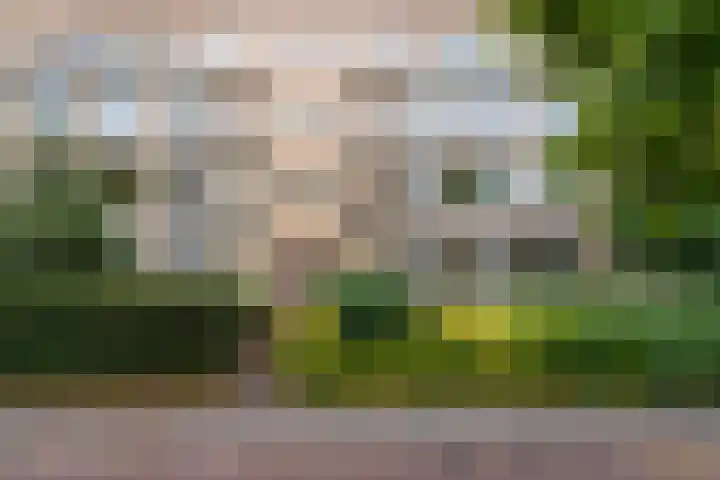 Joseph Haydnlaan 48 Utrecht thumbnail 34