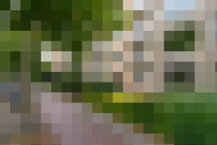 Joseph Haydnlaan 48 Utrecht thumbnail 35