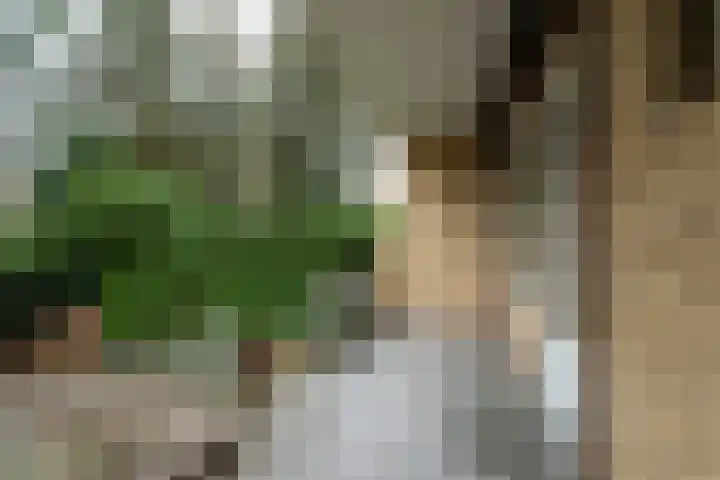 Joseph Haydnlaan 48 Utrecht thumbnail 4