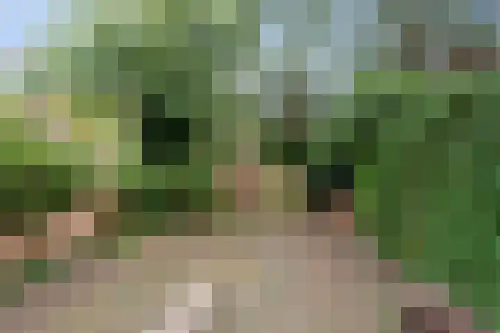 Joseph Haydnlaan 48 Utrecht thumbnail 5