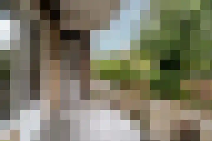 Joseph Haydnlaan 48 Utrecht thumbnail 9
