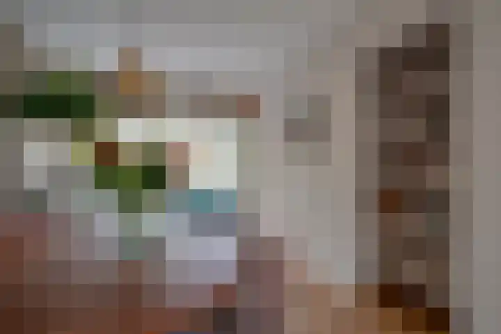 Joseph Haydnlaan 50 1 Utrecht thumbnail 16