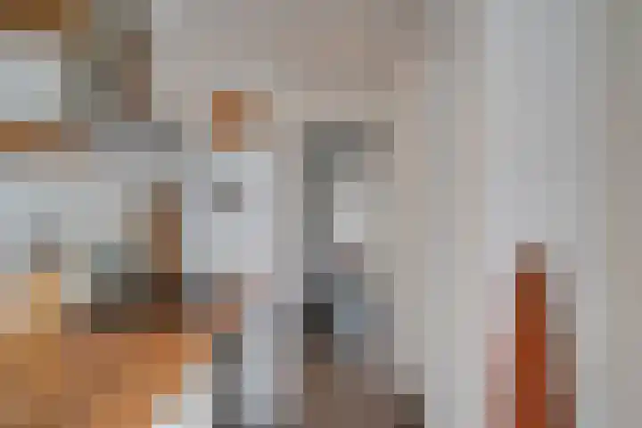Joseph Haydnlaan 50 1 Utrecht thumbnail 25