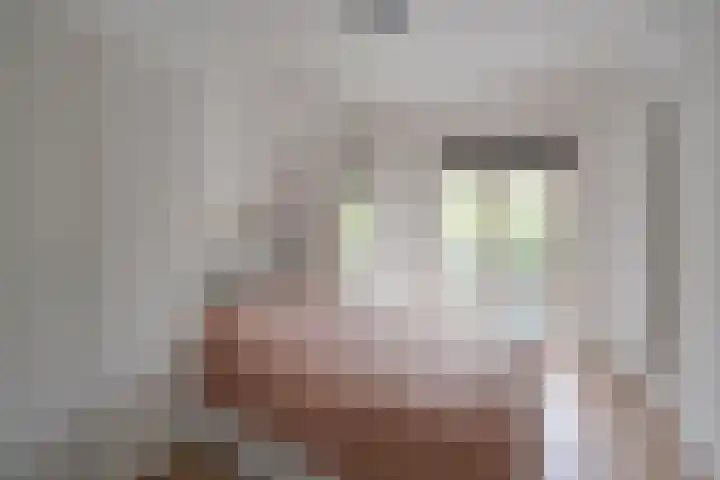 Joseph Haydnlaan 50 1 Utrecht thumbnail 33