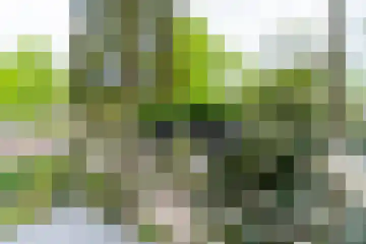 Joseph Haydnlaan 50 1 Utrecht thumbnail 36