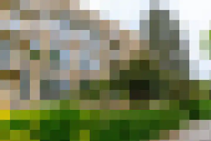 Joseph Haydnlaan 50 1 Utrecht thumbnail 42