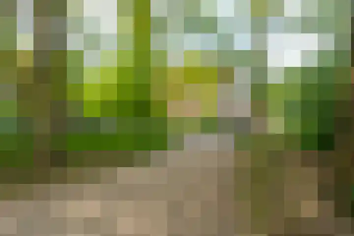 Joseph Haydnlaan 50 1 Utrecht thumbnail 48