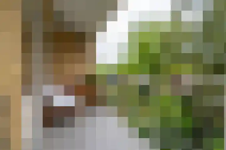 Joseph Haydnlaan 50 1 Utrecht thumbnail 5