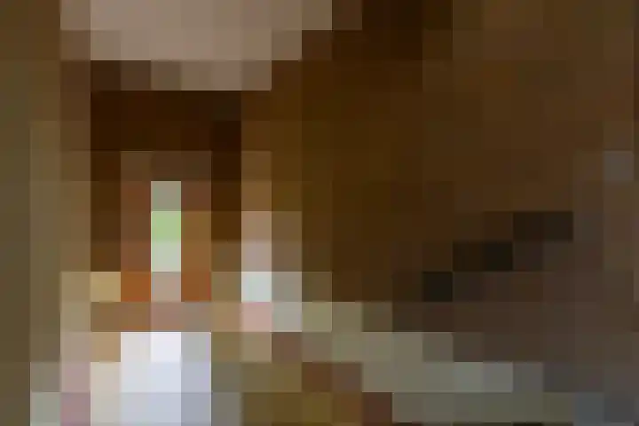 Joseph Haydnlaan 50 1 Utrecht thumbnail 9