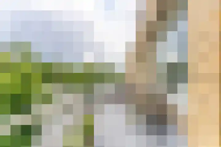 Joseph Haydnlaan 50 3 Utrecht thumbnail 13