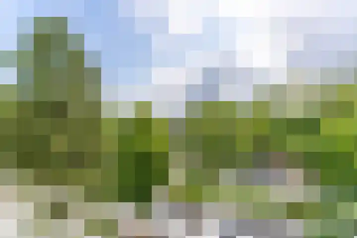 Joseph Haydnlaan 50 3 Utrecht thumbnail 14