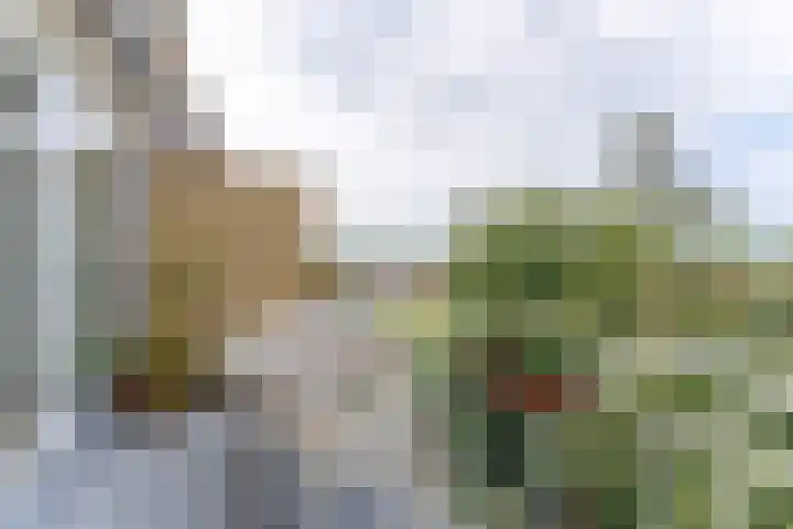 Joseph Haydnlaan 50 3 Utrecht thumbnail 23