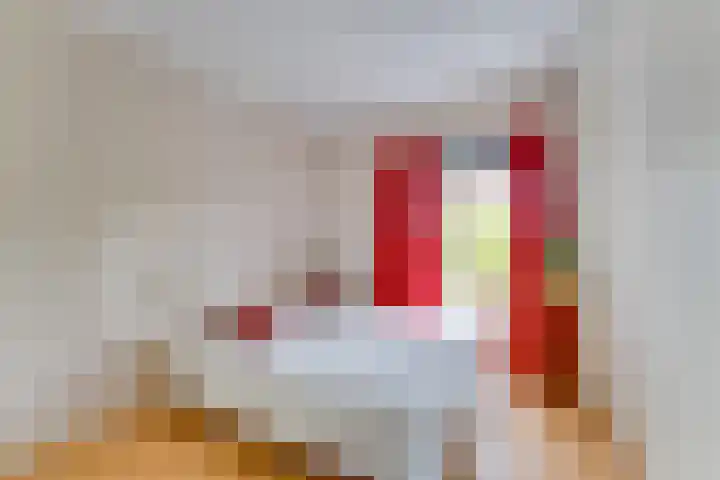 Joseph Haydnlaan 50 3 Utrecht thumbnail 24