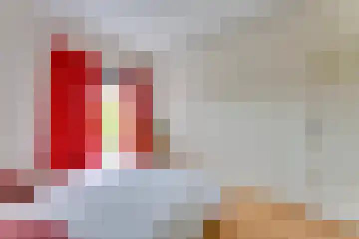 Joseph Haydnlaan 50 3 Utrecht thumbnail 26