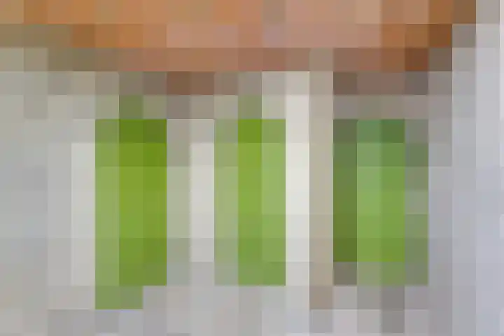 Joseph Haydnlaan 50 3 Utrecht thumbnail 30
