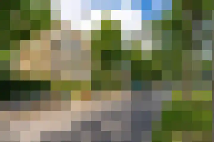 Joseph Haydnlaan 50 3 Utrecht thumbnail 32