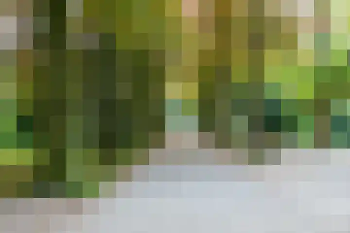 Joseph Haydnlaan 50 3 Utrecht thumbnail 33